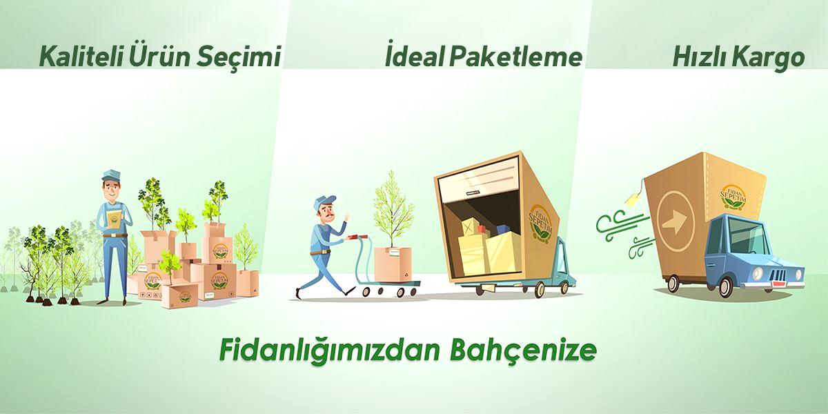 BANNER1200X600