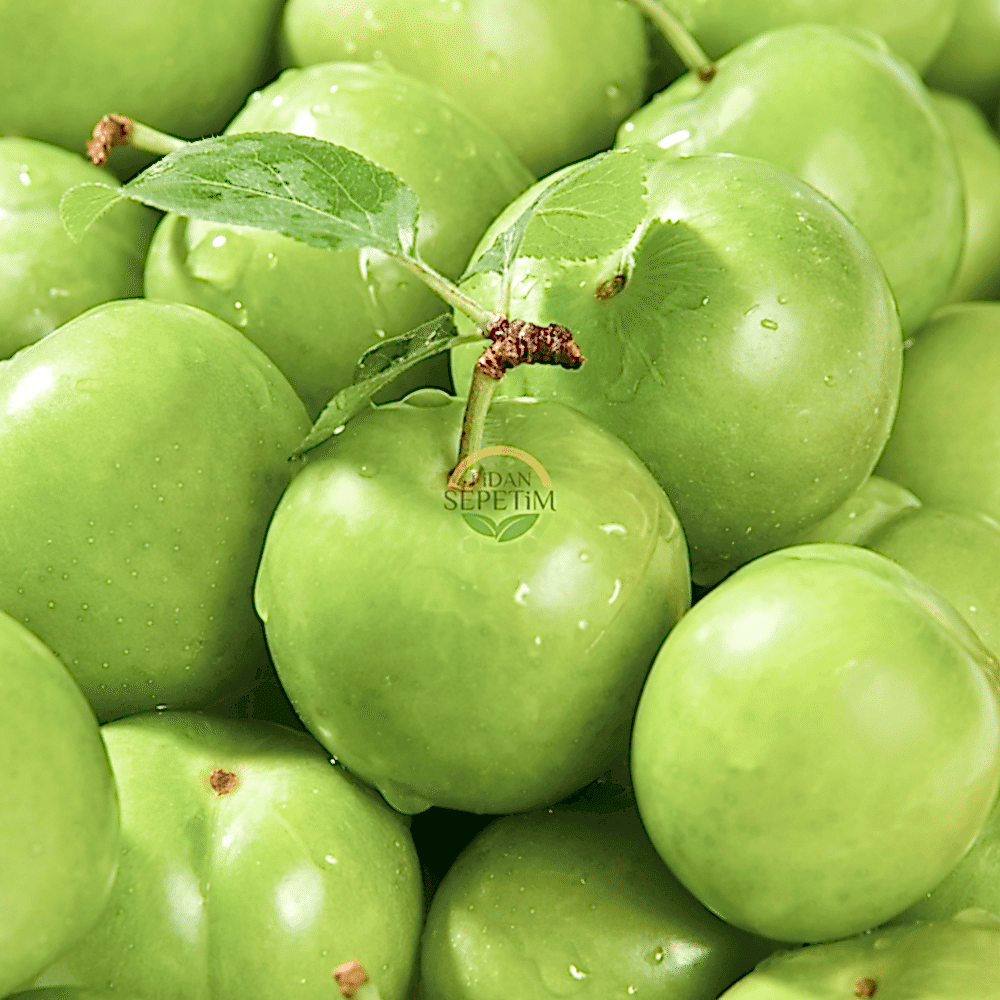 3 Yaş Aşılı Papaz Erik Fidanı *Yarı Bodur*