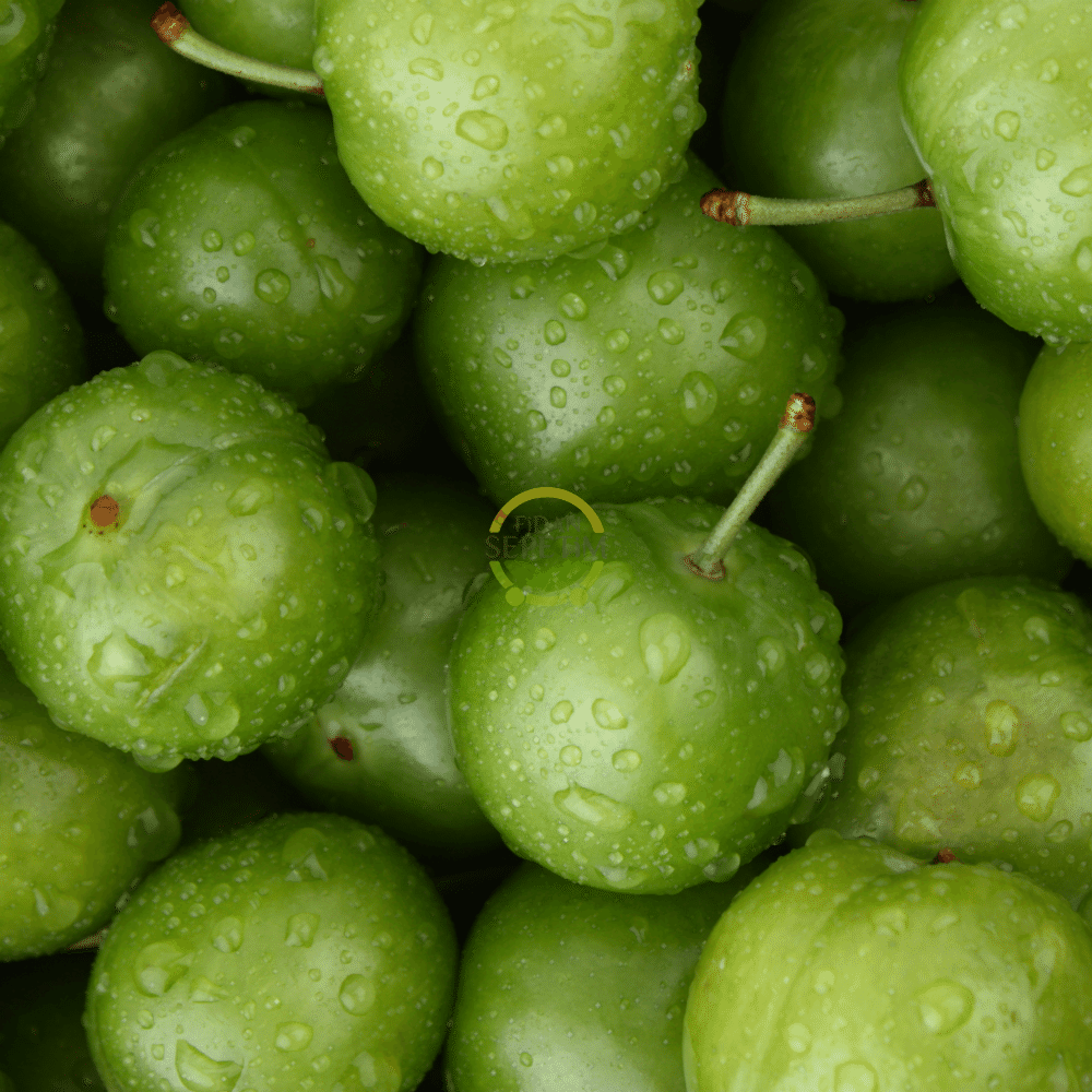 3 Yaş Aşılı Papaz Erik Fidanı *Yarı Bodur*