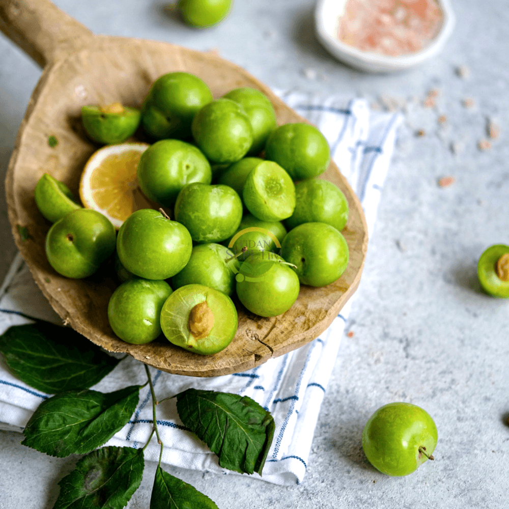 3 Yaş Aşılı Papaz Erik Fidanı *Yarı Bodur*