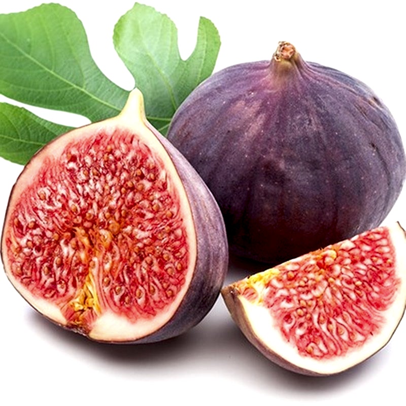 3 Yaş Bursa Dürdane İncir Fidanı