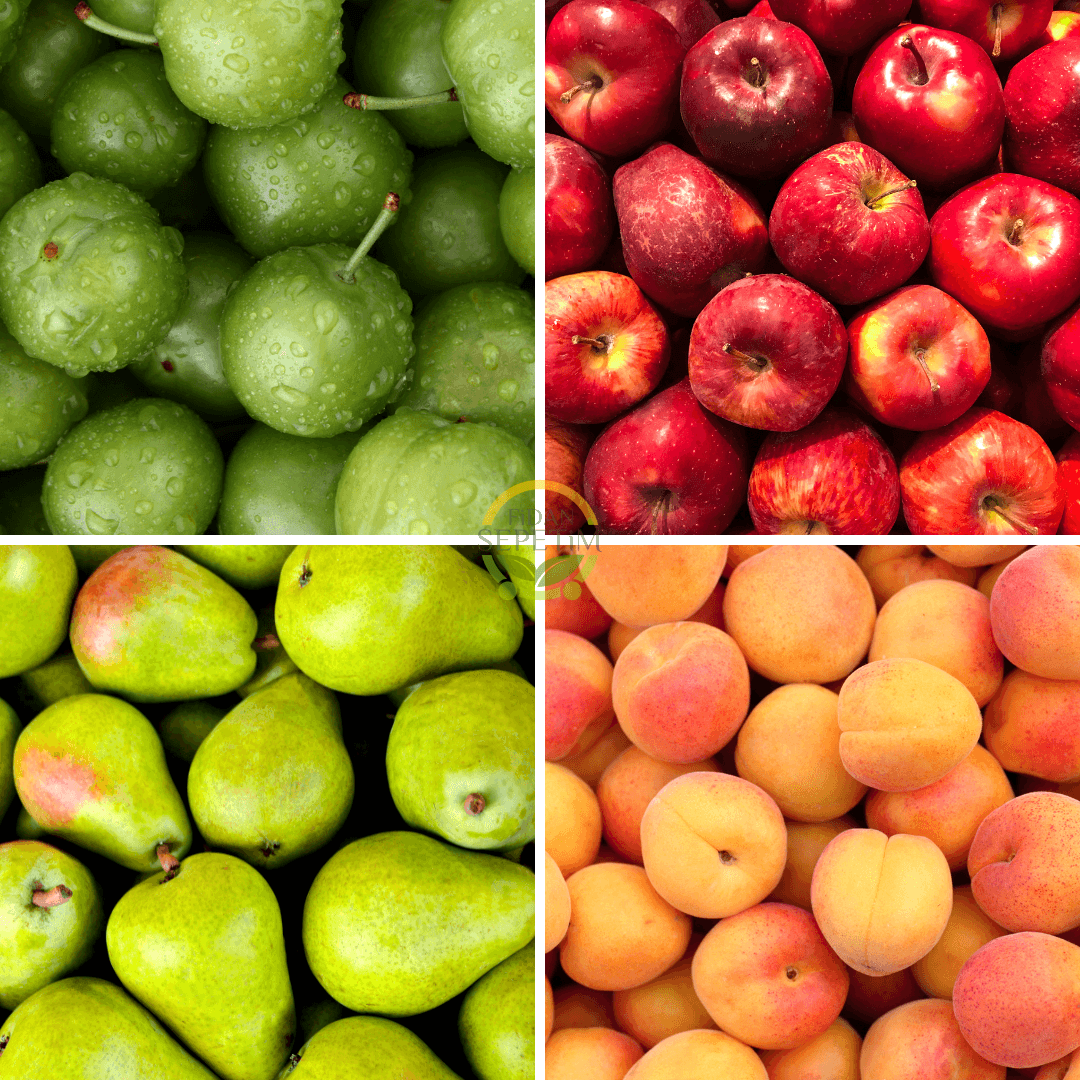 4 Adet Meyve Fidanı Paketi 'Erik-Elma-Armut-Kayısı' (Sponsorlu)