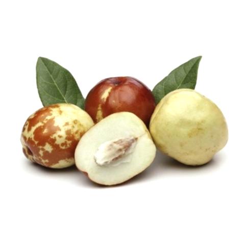 4 Yaş Aşılı İri Meyveli Hünnap Fidanı