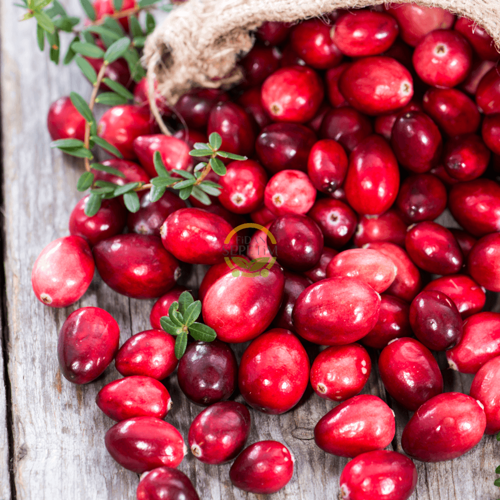 4 Yaş Aşılı Kızılcık Fidanı