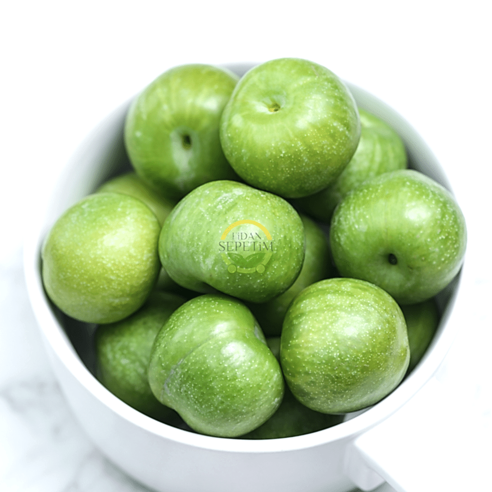 4 Yaş Aşılı Papaz Erik Fidanı