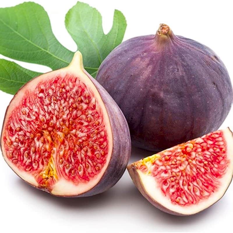 4 Yaş Bursa Dürdane İncir Fidanı