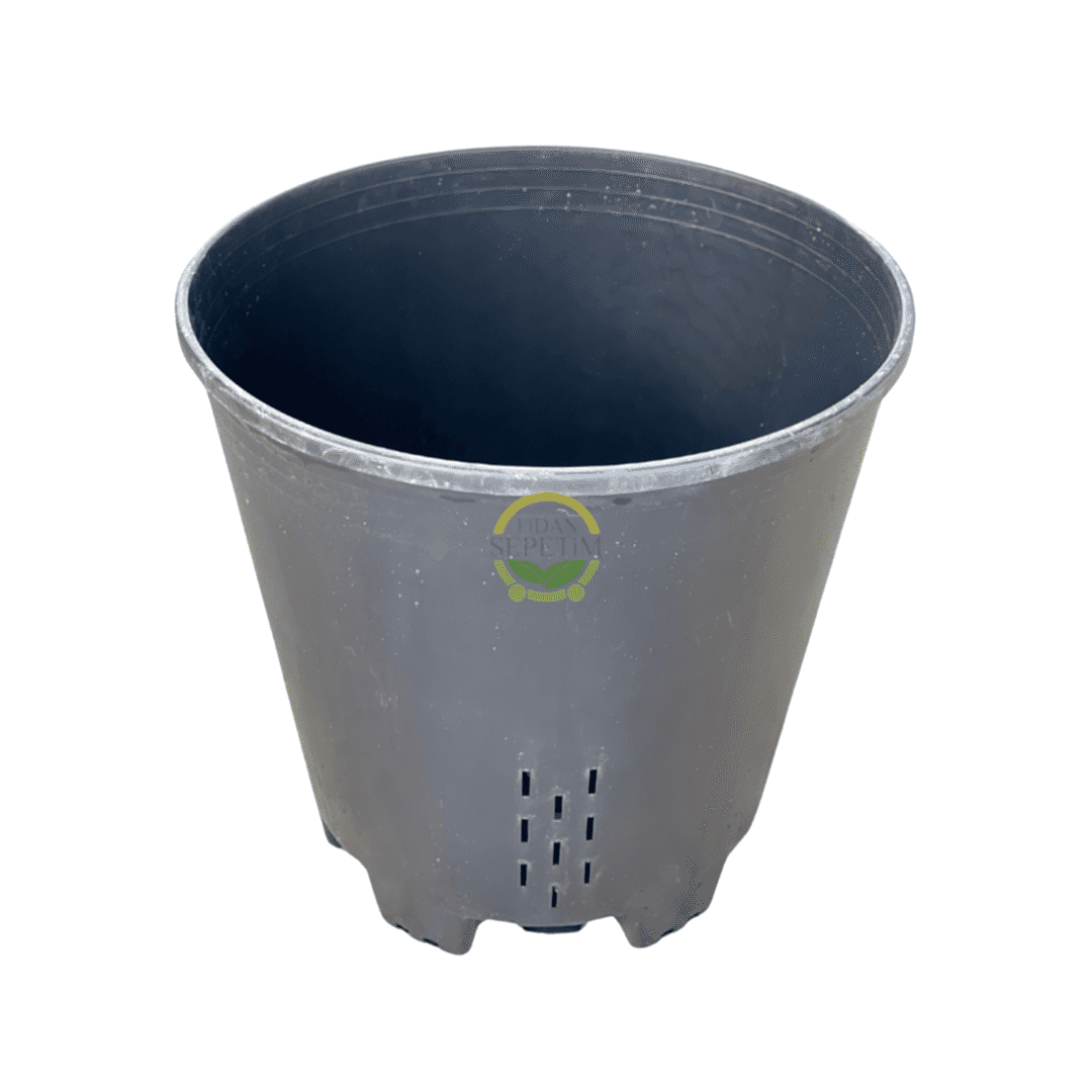 5 Adet Yaban Mersini Yetiştirme Saksısı 45 Litre