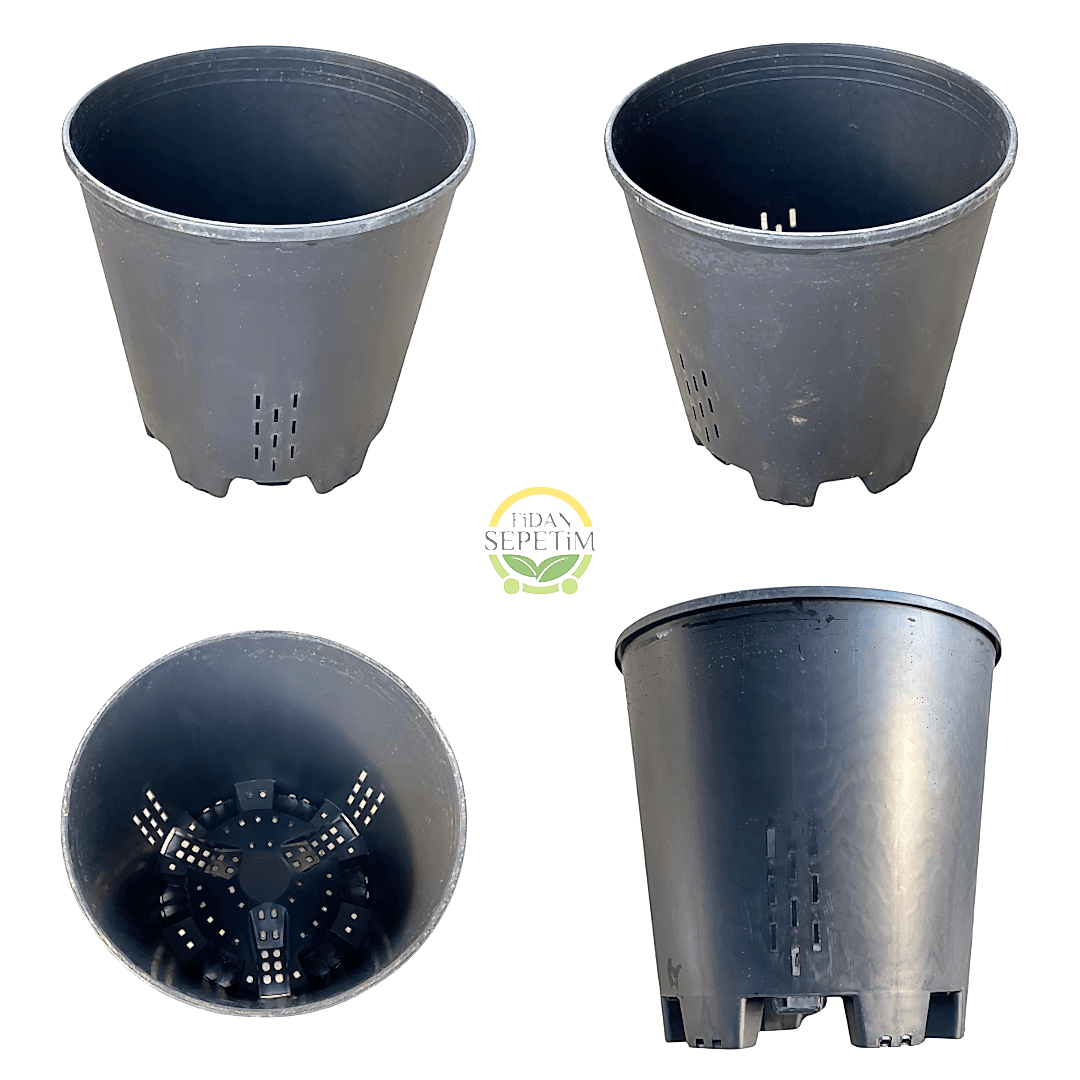 5 Adet Yaban Mersini Yetiştirme Saksısı 45 Litre