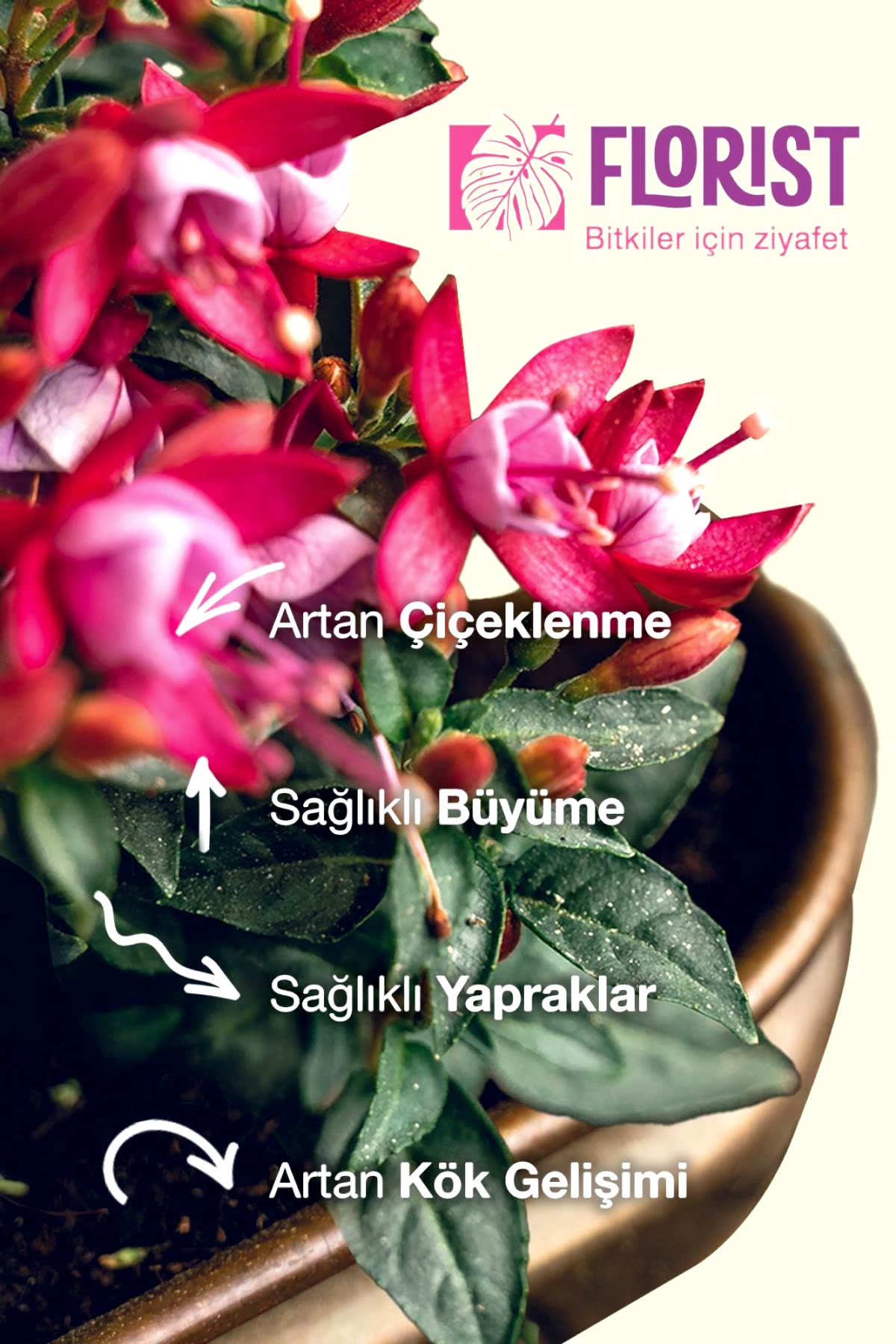 Florist Çiçekli Bitkiler Sıvı Konsantre Bitki Besini