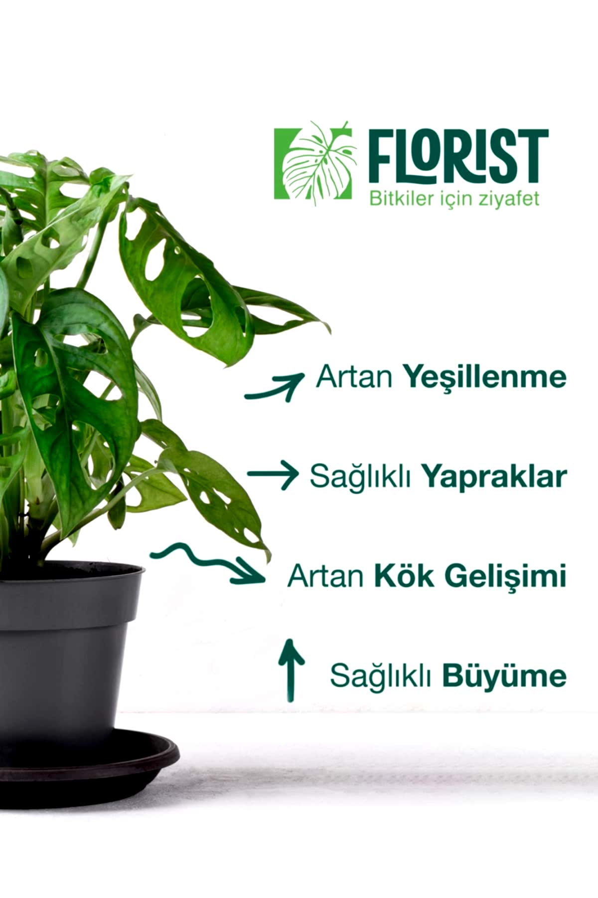 Florist Yeşil Yapraklı Bitkiler Sıvı Konsantre Bitki Besini