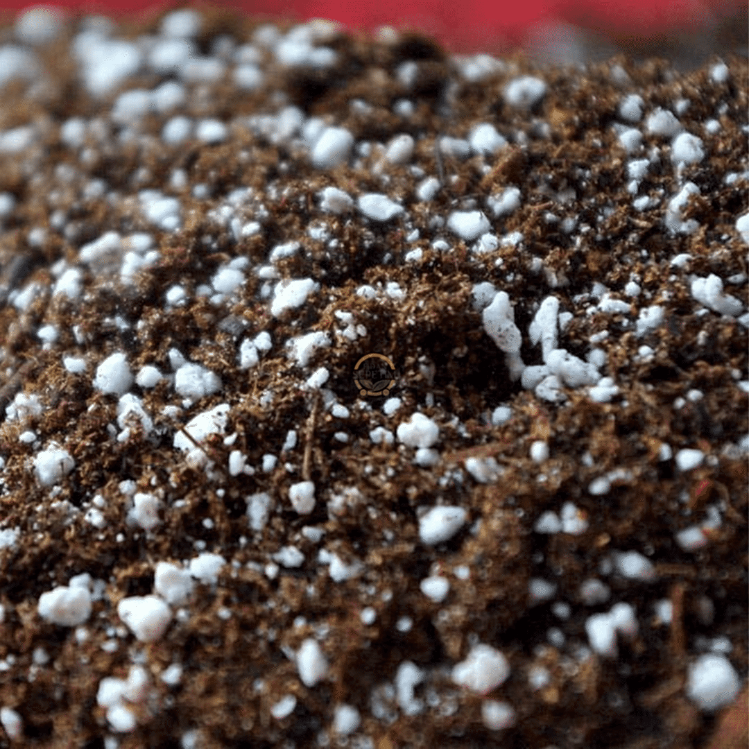 Özel Karışımlı Toprak 80 Litre (Torf&Cocopeat&Perlit) Ph 5,5-6,5 (İTHAL)