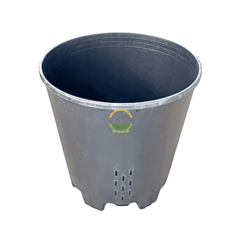 10 Adet Yaban Mersini Yetiştirme Saksısı 45 Litre