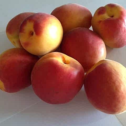 3 Yaş Aşılı Alyanak Kayısı Fidanı *Yarı Bodur*