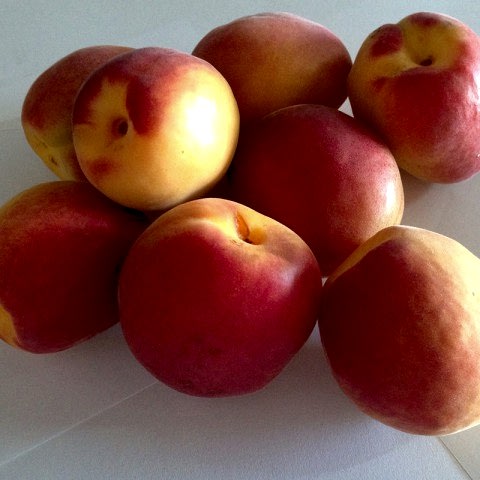 3 Yaş Aşılı Alyanak Kayısı Fidanı