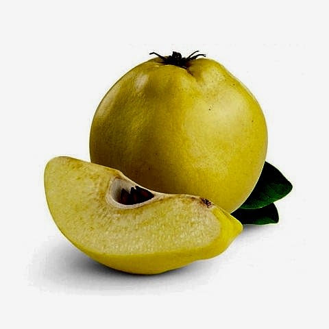 3 Yaş Aşılı Eşme Ayva Fidanı