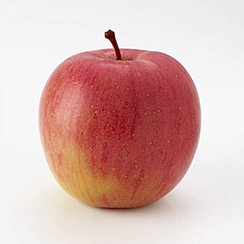 3 Yaş Aşılı Fuji (Zen Aztec) Elma Fidanı