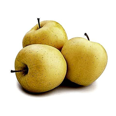 3 Yaş Aşılı Golden Delicious Elma Fidanı (Sarı Elma)