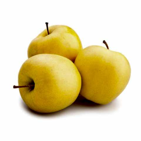 3 Yaş Aşılı Golden Delicious Elma Fidanı *Yarı Bodur*
