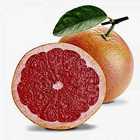 3 Yaş Aşılı Star Ruby Greyfurt Fidanı