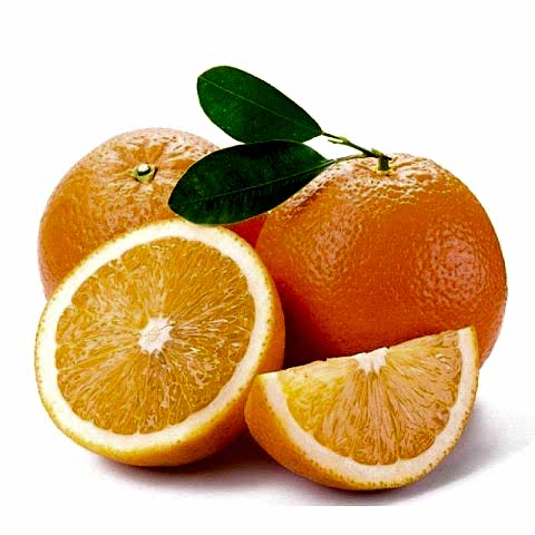 3 Yaş Aşılı Washington Portakal Fidanı