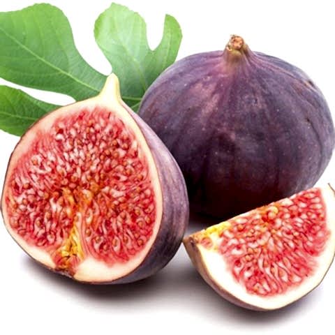 3 Yaş Bursa Dürdane İncir Fidanı