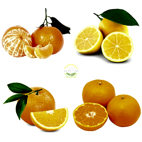 3'lü Narenciye Fidanı Paketi (Hobi Bahçelerine Özel)