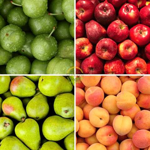 4 Adet Meyve Fidanı Paketi 'Erik-Elma-Armut-Kayısı' (Sponsorlu)