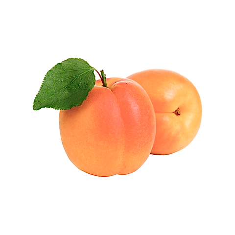 4 Yaş Aşılı Alyanak Kayısı Fidanı