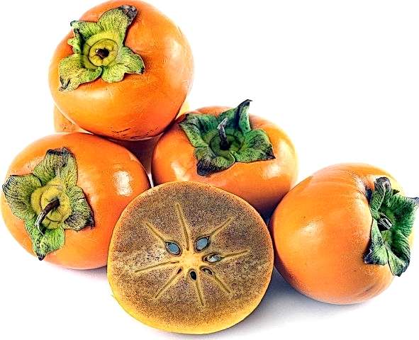 4 Yaş Aşılı Hachiya Trabzon Hurması Fidanı *Çikolatalı*