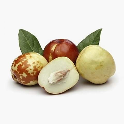 4 Yaş Aşılı İri Meyveli Hünnap Fidanı