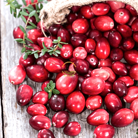 4 Yaş Aşılı Kızılcık Fidanı