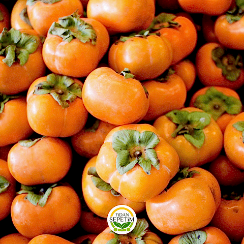 4 Yaş Aşılı Rojo Brillante Trabzon Hurması Fidanı