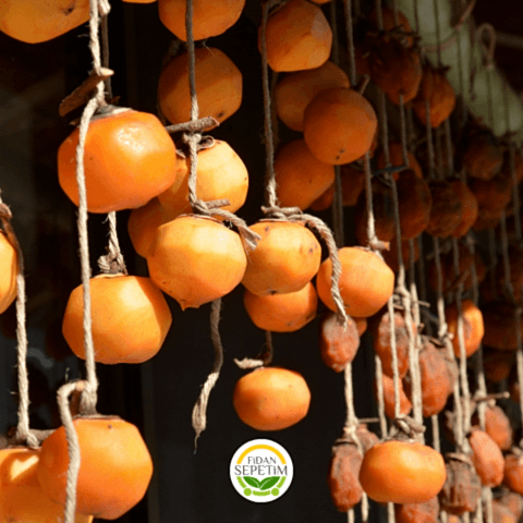 4 Yaş Aşılı Rojo Brillante Trabzon Hurması Fidanı