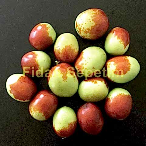 4 Yaş Ufak Meyveli Hünnap Fidanı