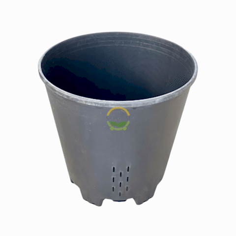 5 Adet Yaban Mersini Yetiştirme Saksısı 30 Litre