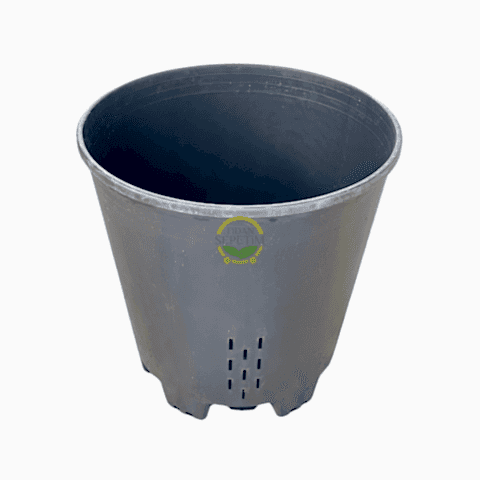 5 Adet Yaban Mersini Yetiştirme Saksısı 45 Litre