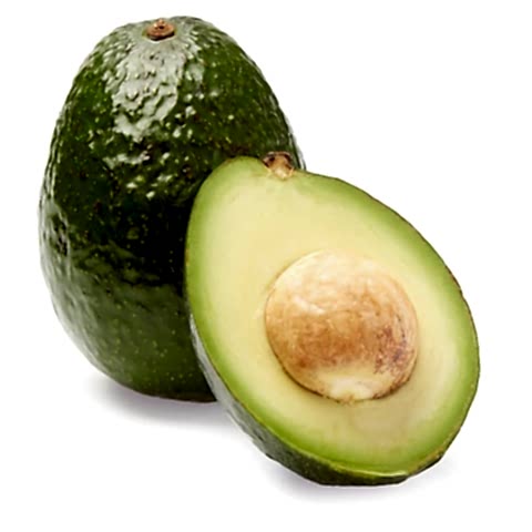 5 Yaş Haas Avokado Fidanı