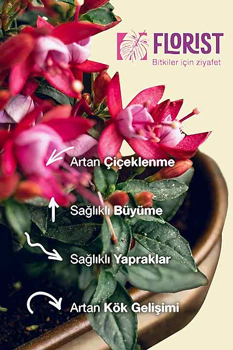 Florist Çiçekli Bitkiler Sıvı Konsantre Bitki Besini