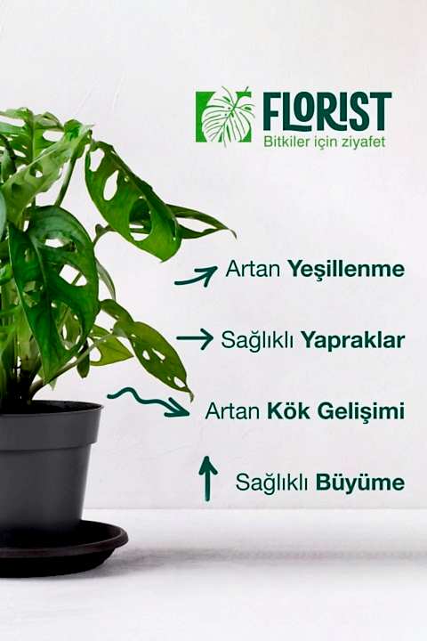 Florist Yeşil Yapraklı Bitkiler Sıvı Konsantre Bitki Besini