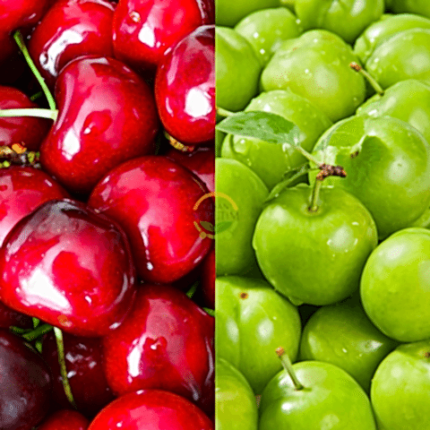 Napolyon Kiraz & Papaz Erik Fidanı Paketi