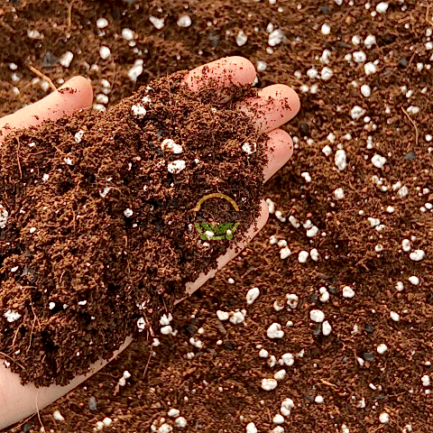 Özel Karışımlı Toprak 40 Litre