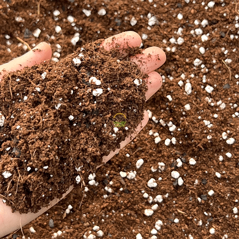 Özel Karışımlı Toprak 80 Litre (Torf&Cocopeat&Perlit) Ph 5,5-6,5 (İTHAL)