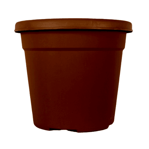 Vaha Saksı 31 LT - Kiremit Renk