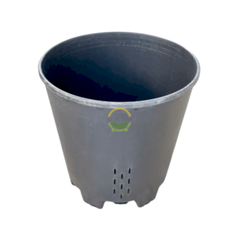 Yaban Mersini Yetiştirme Saksısı 30 Litre