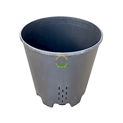 Yaban Mersini Yetiştirme Saksısı 45 Litre